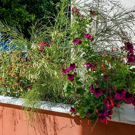 Apartment Veronika Dubrownik Zewnętrze zdjęcie